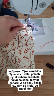 <i>Francouzskýšev</i> nebo také dvojitý hřbetový šev je jednoduchý způsob začištění okraje látky pouze s použitím rovného stehu. Takový šev je ušitý 2x, je velice pevný a hodí se všude tam, kde je šev namáhaný, viditelný nebo z jemné, třepivé látky. Vytvoříme jej tak, že bok sáčku sešijeme nejprve po lícové straně asi 0,5 až 0,75cm od okraje se zapošitím. 