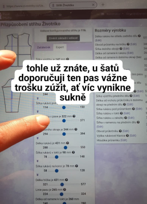 Samotné tričko je více volné, proto bych vám doporučila pro šaty živůtek lehce projmout