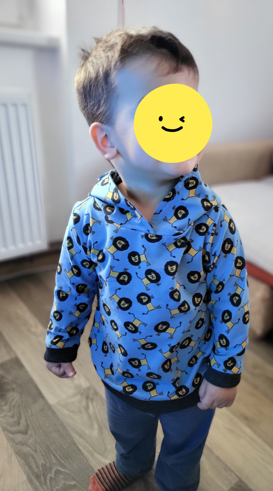 Výrobek podle střihu Mikina Michal