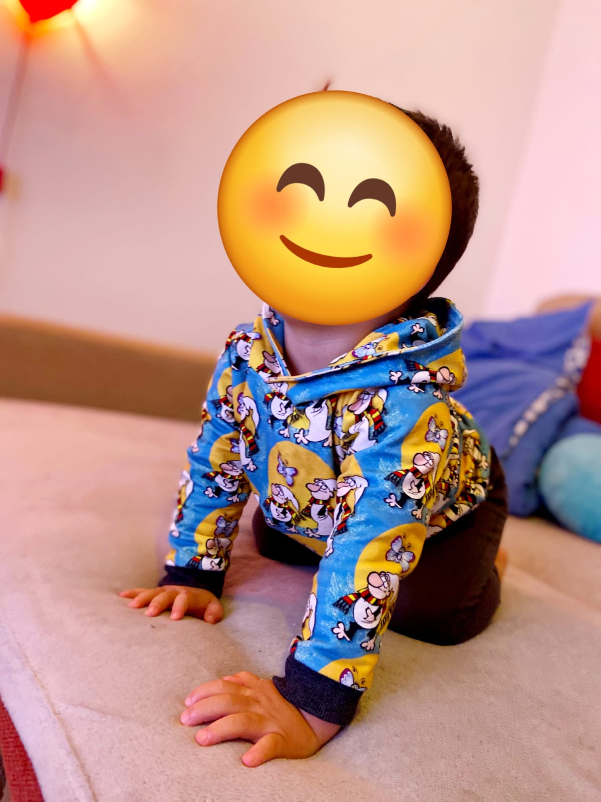 Výrobek podle střihu Mikina Michal